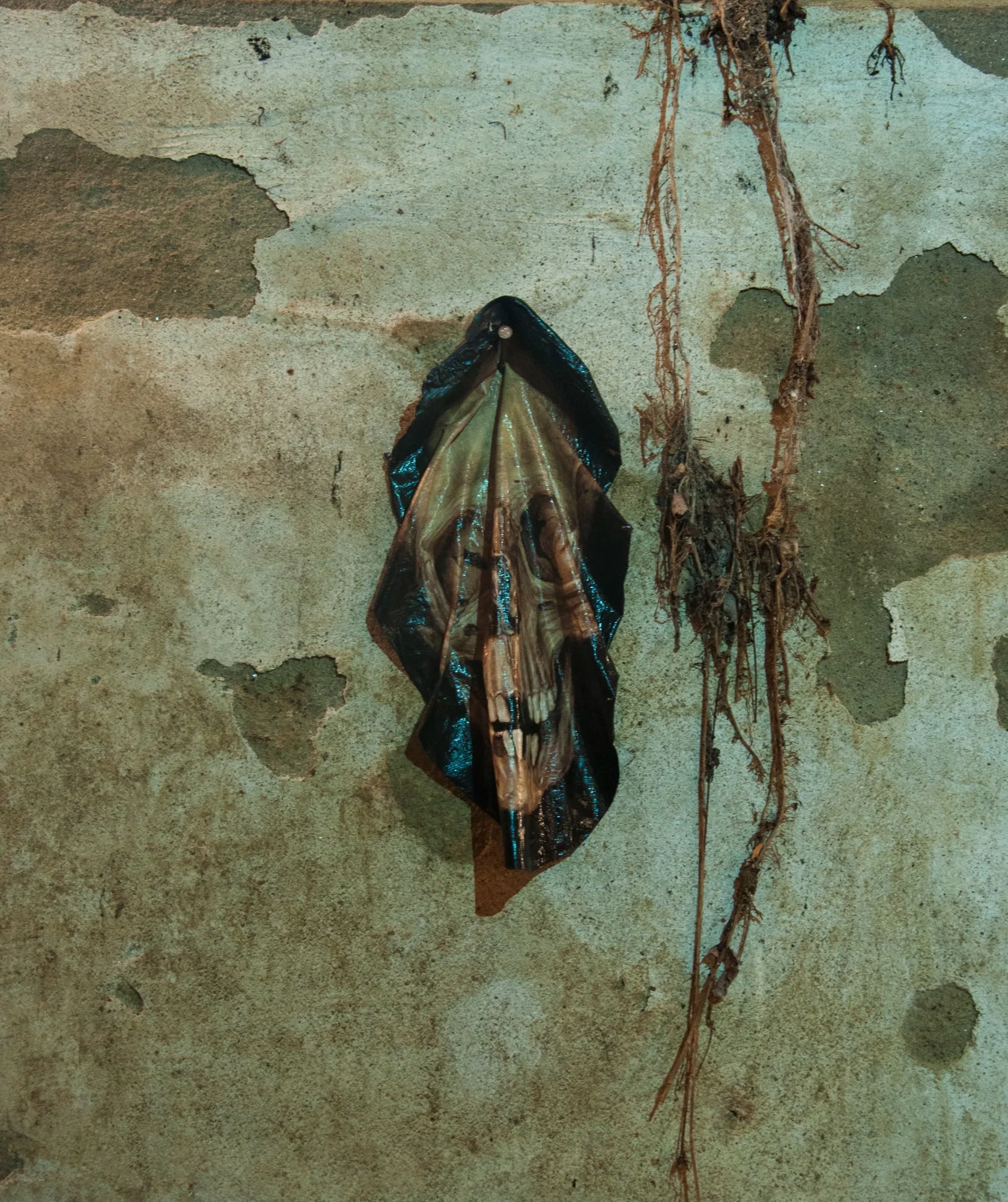 Memento Mori 1