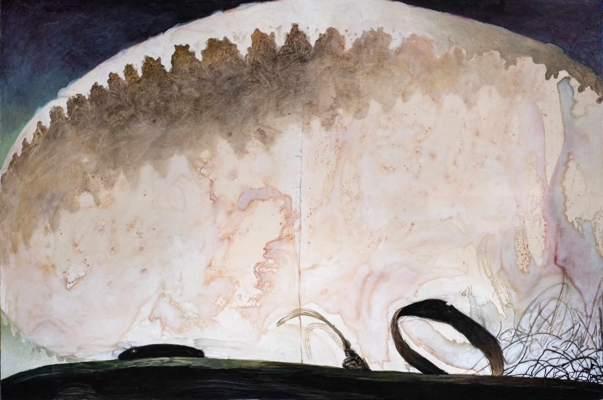 Sotto dei morbidi denti