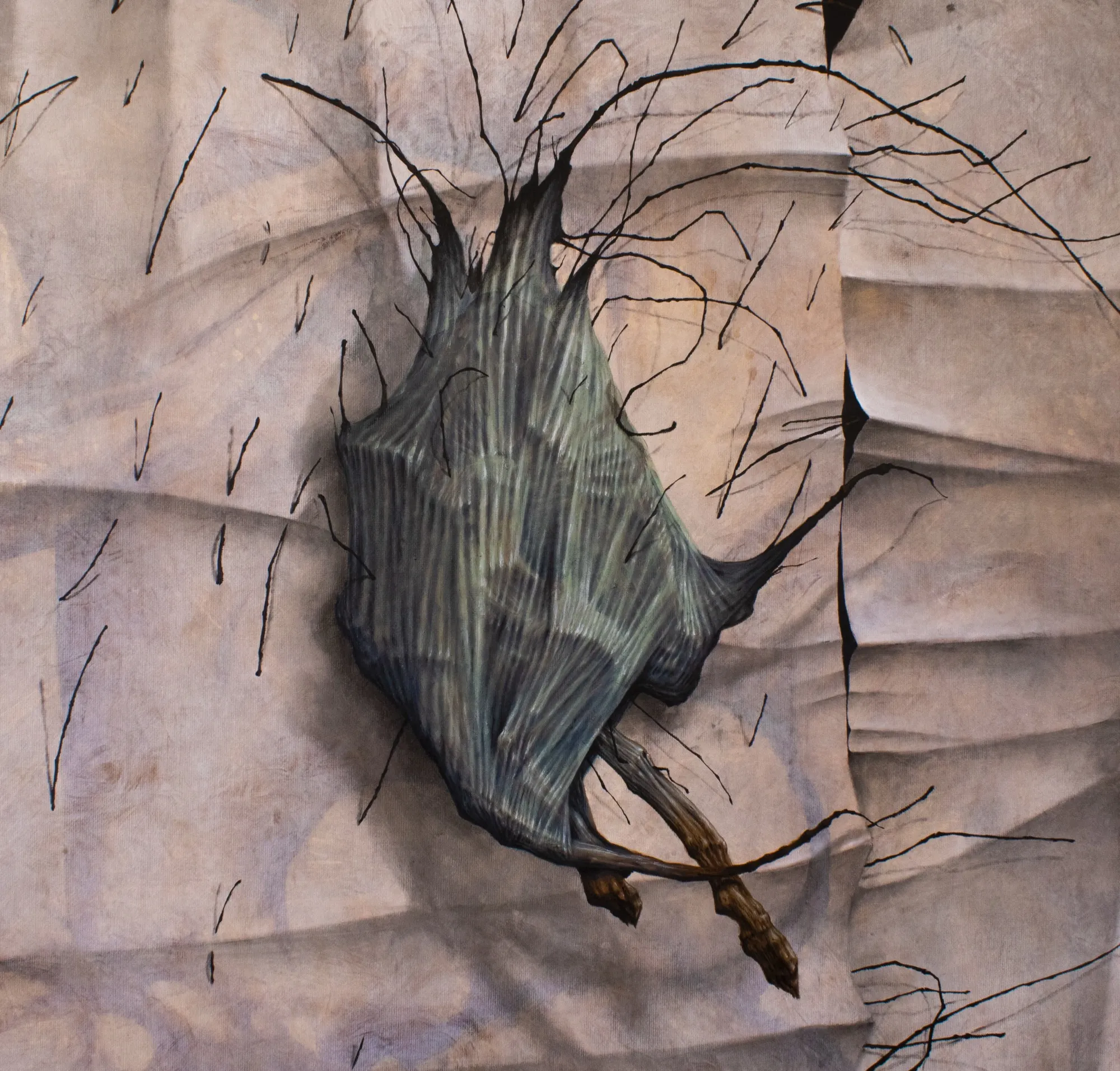Comma, detail