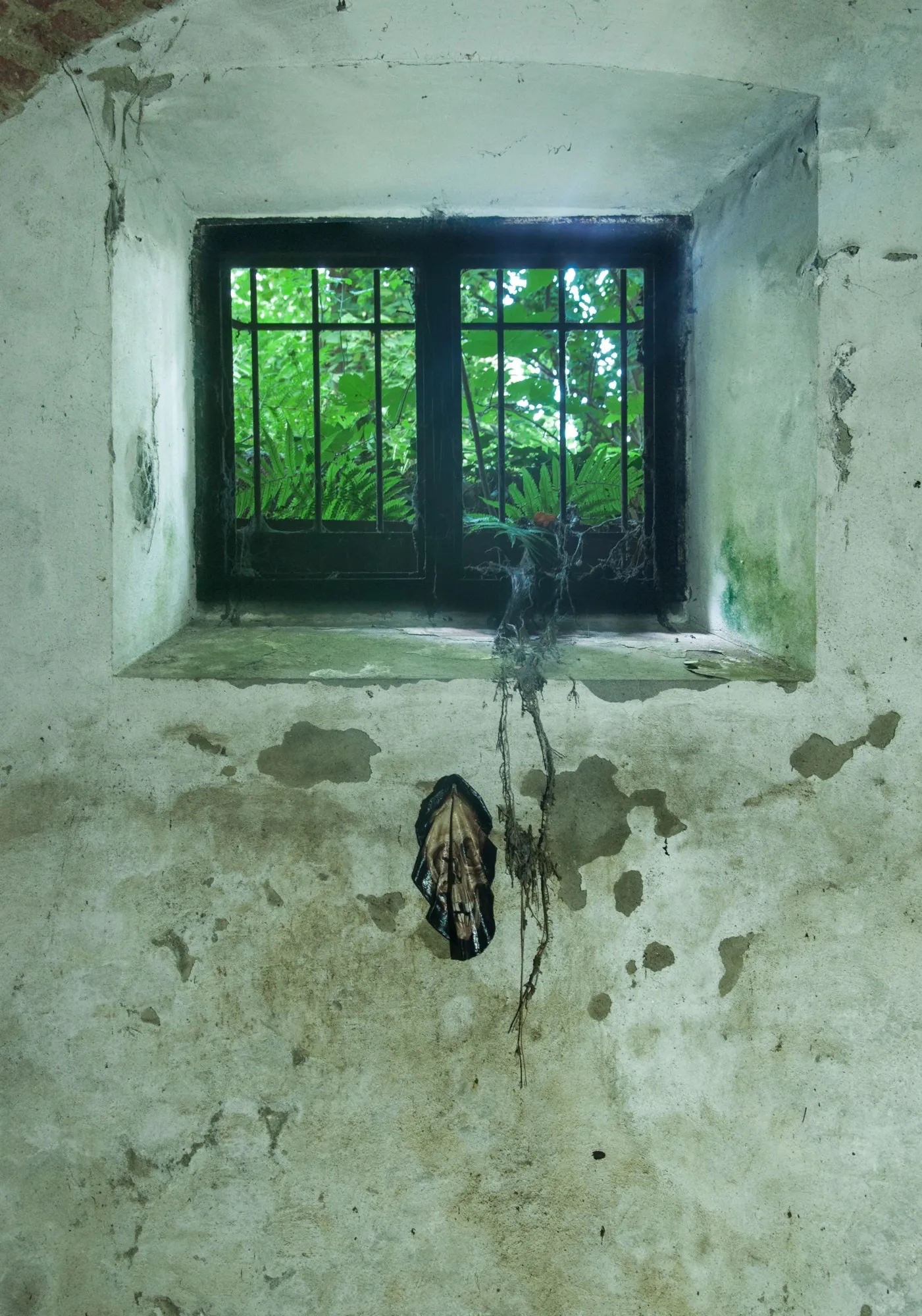 Memento Mori 1, installation view
