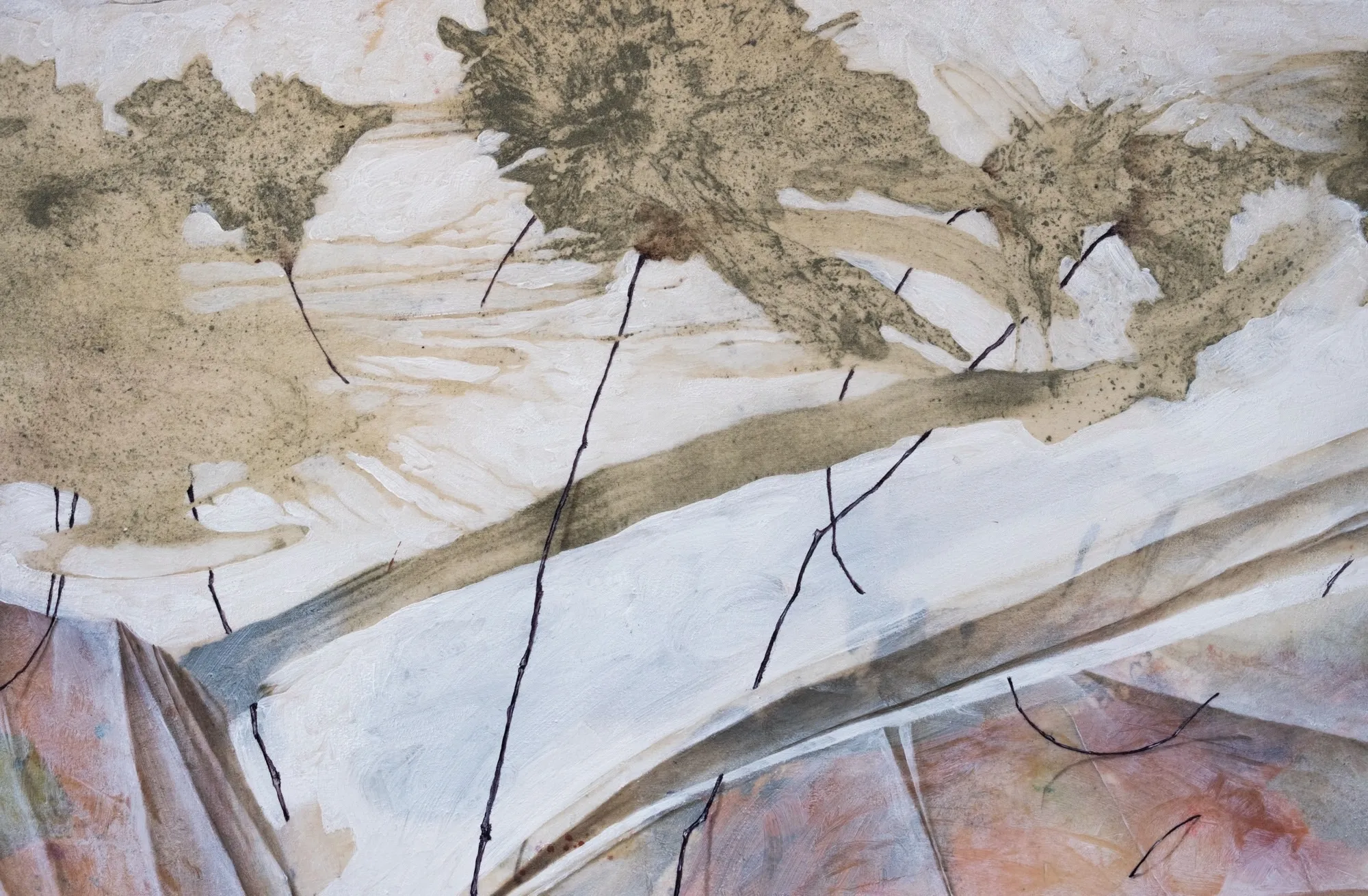 Ancora un’effimera, detail