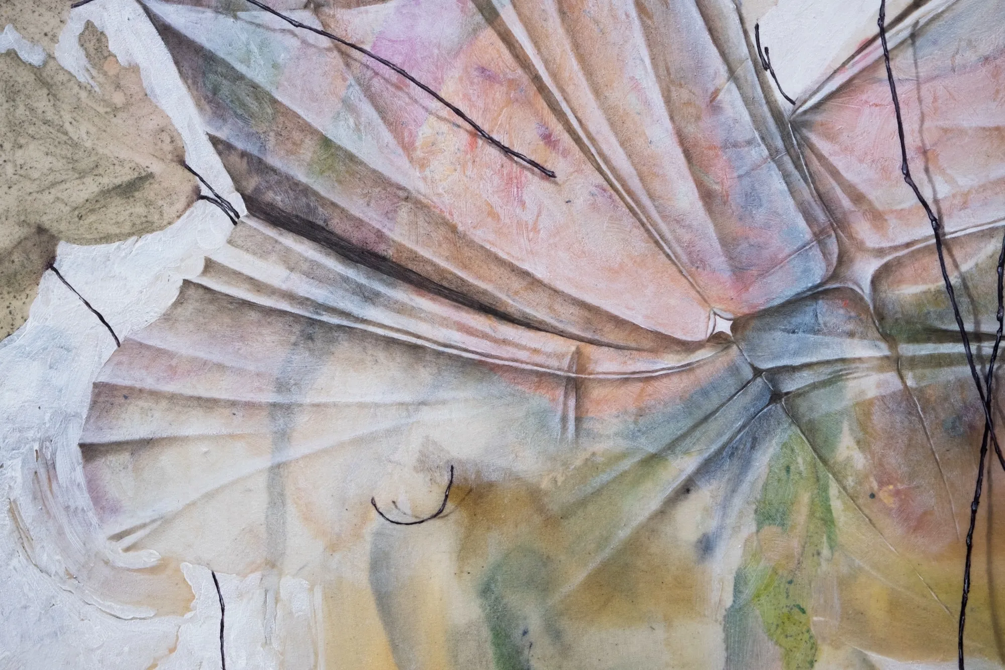 Ancora un’effimera, detail