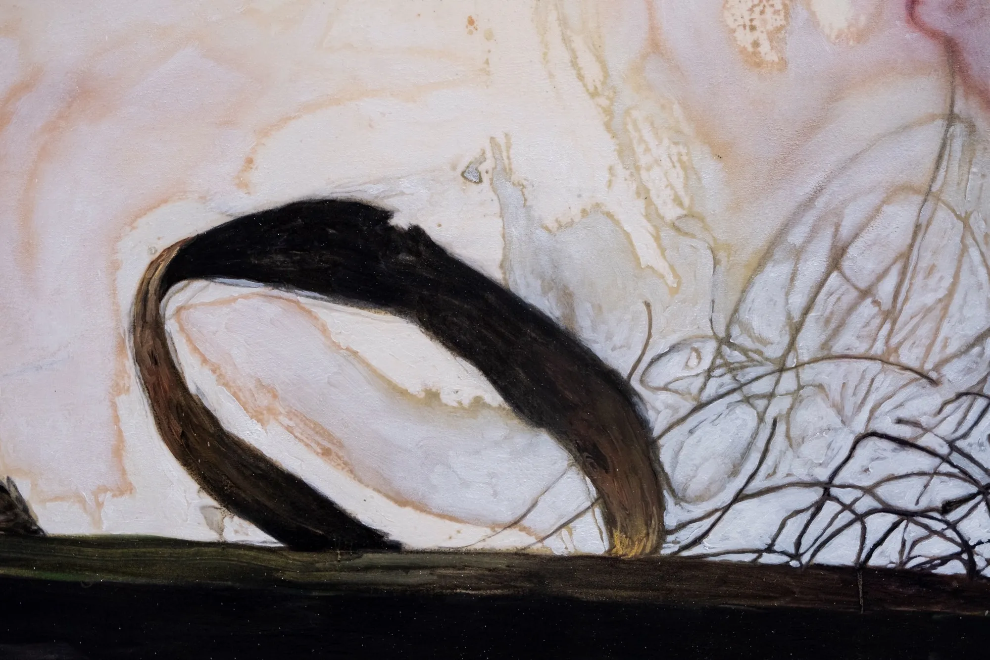 Sotto dei morbidi denti, detail