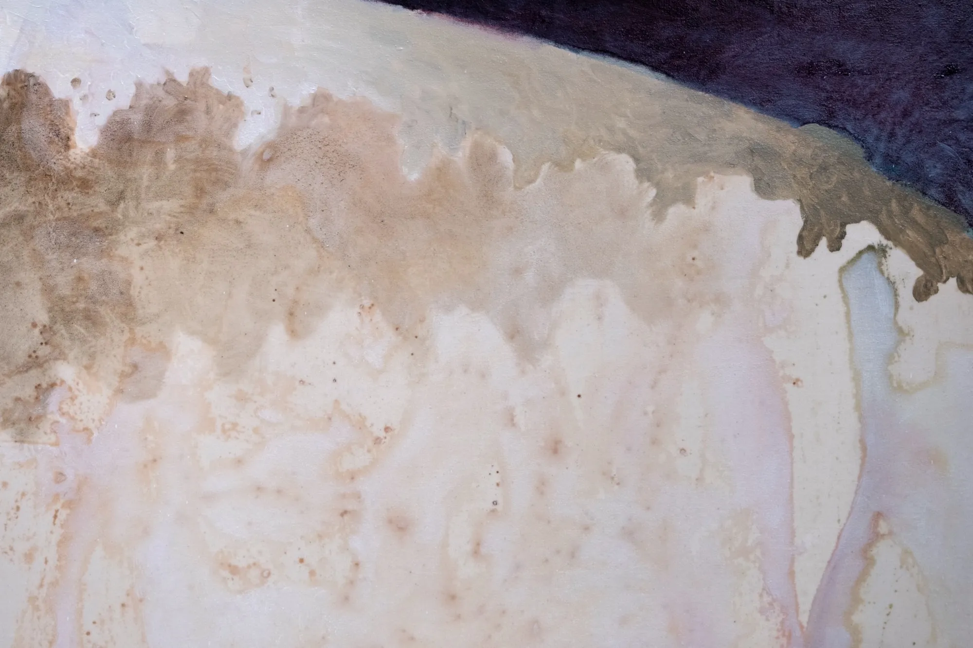 Sotto dei morbidi denti, detail