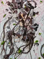 Radica
