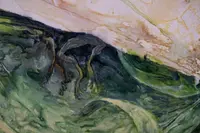 La pelle viscida